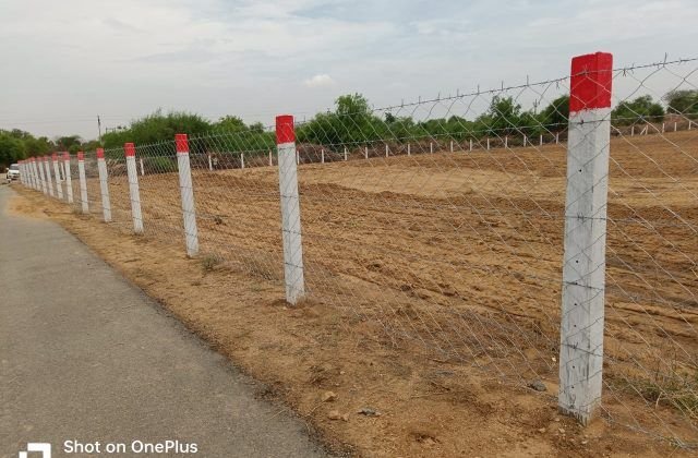 Agriculture Fencing